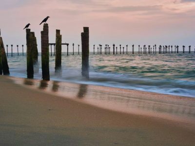 alleppey-beach-tourism-header